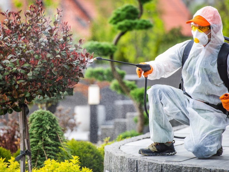 Dursunbey Haşere İlaçlama